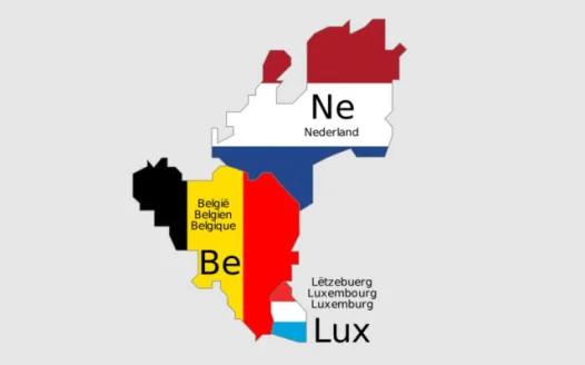 Petition | Vote of no confidence to the Ambassador & MC | BENELUX community