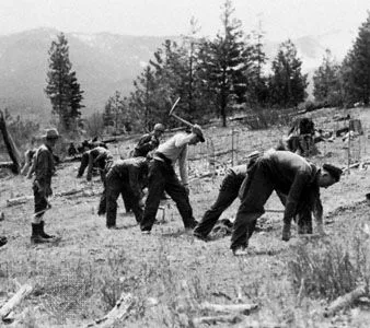 Reactivate the US Civilian Conservation Corps