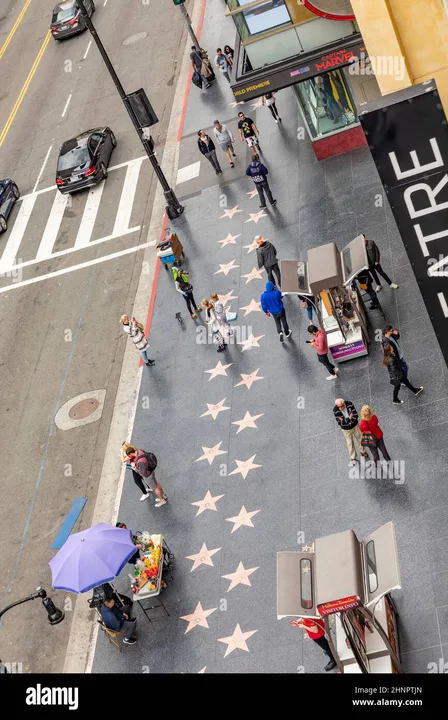 Petition to get Joanna Pettet a star on Hollywood Blvd!