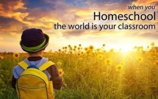 Government Funded Homeschooling