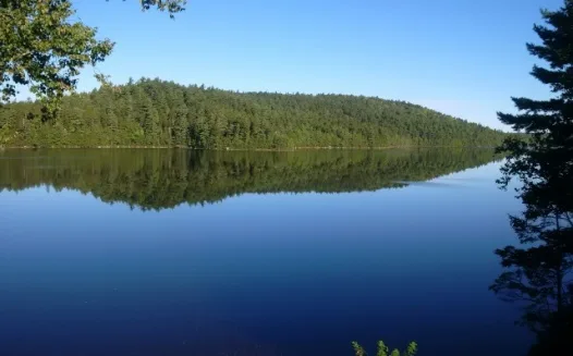 Bring Fibre Technology to Millet Lake - Lakewood Drive, Chester Grant