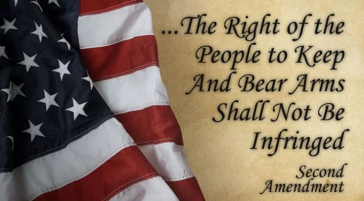PA Petition To Keep and Bear Arms
