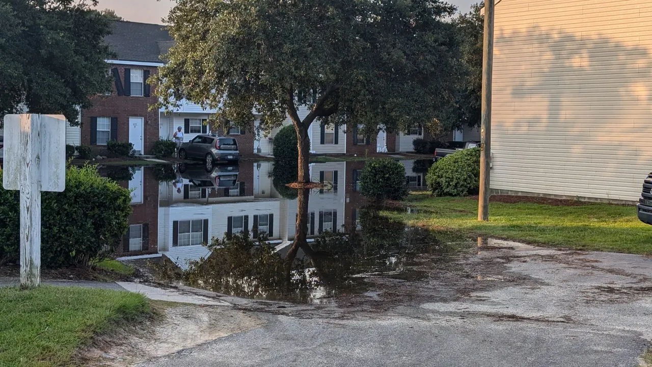 Fix Bentley House Estate's Drains