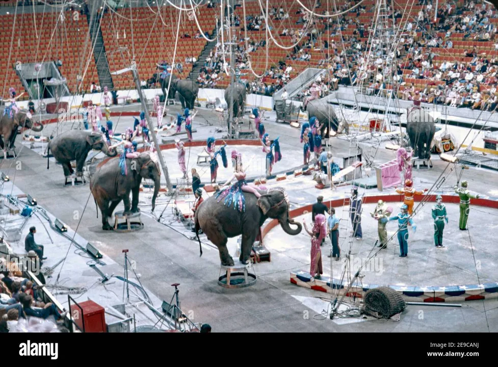 Animal Cruelty In Circuses 