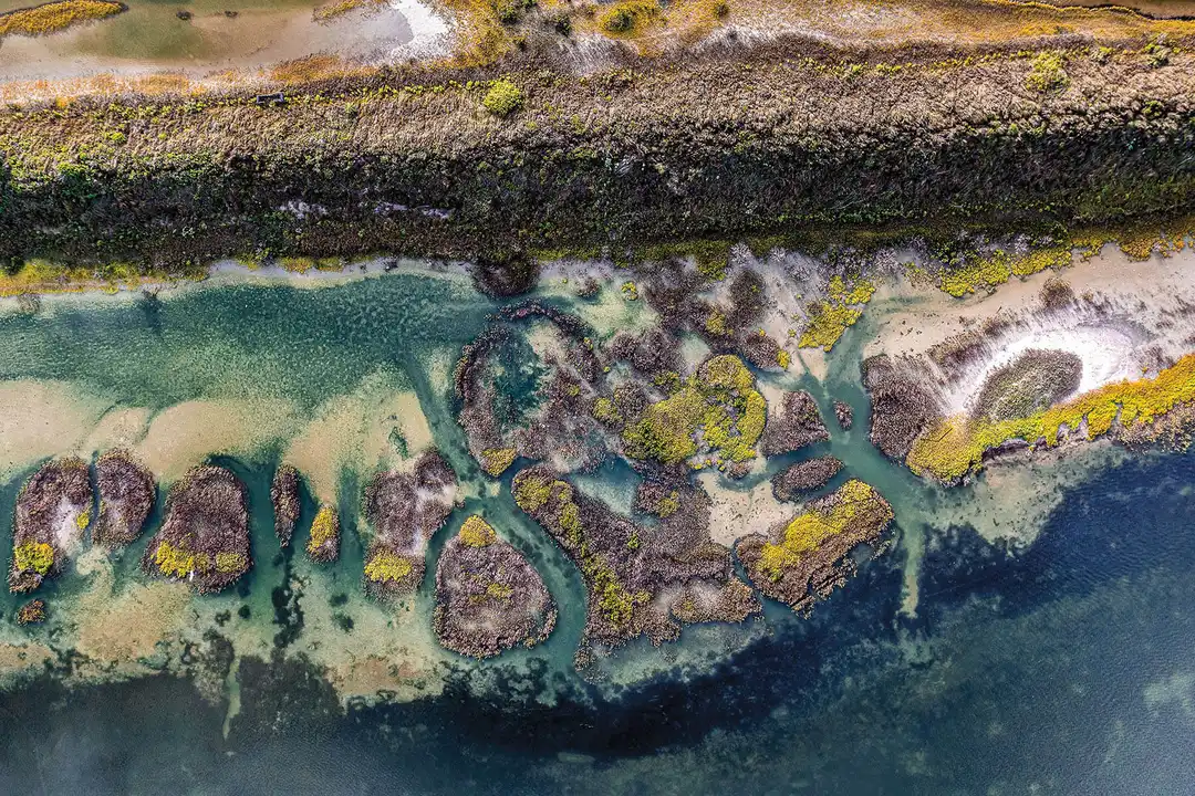 SAVE THE LAGUNA MADRE