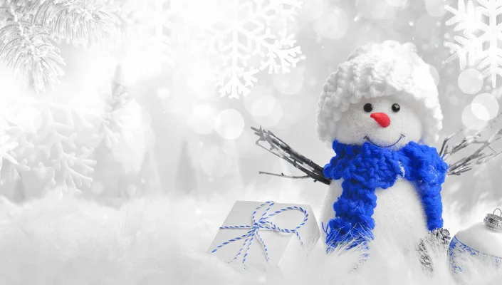 Honor Snow Days during Remote Learning