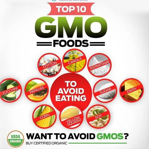 Food labels should state if the product is genetically modified