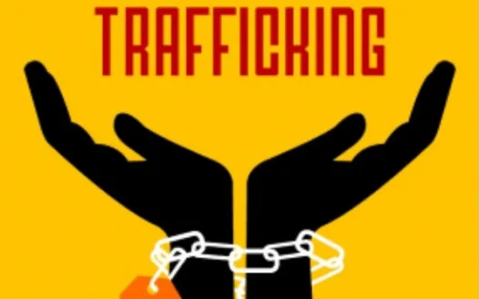 stop human trafficking