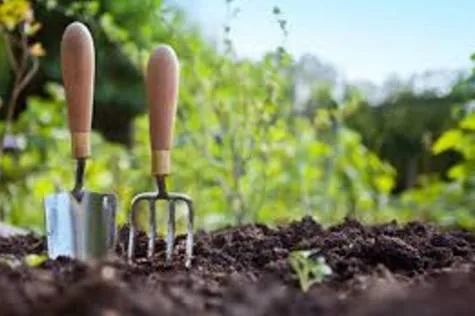 Moravian College Community Garden