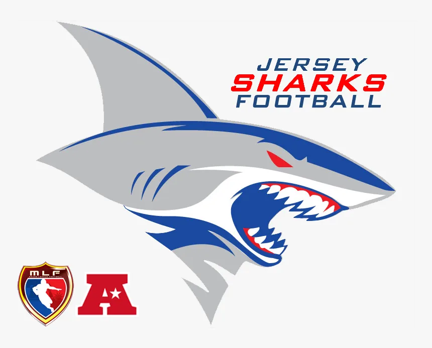 Remove Owner From Offensive Coordinator Position!
