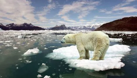 Climate Change Is REAL!