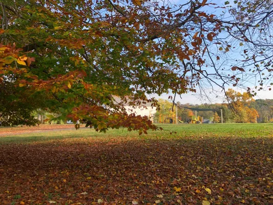 Northwest Park: A New Vision for Green Space, Dog Park and Playing Fields or Driving Range Revival?