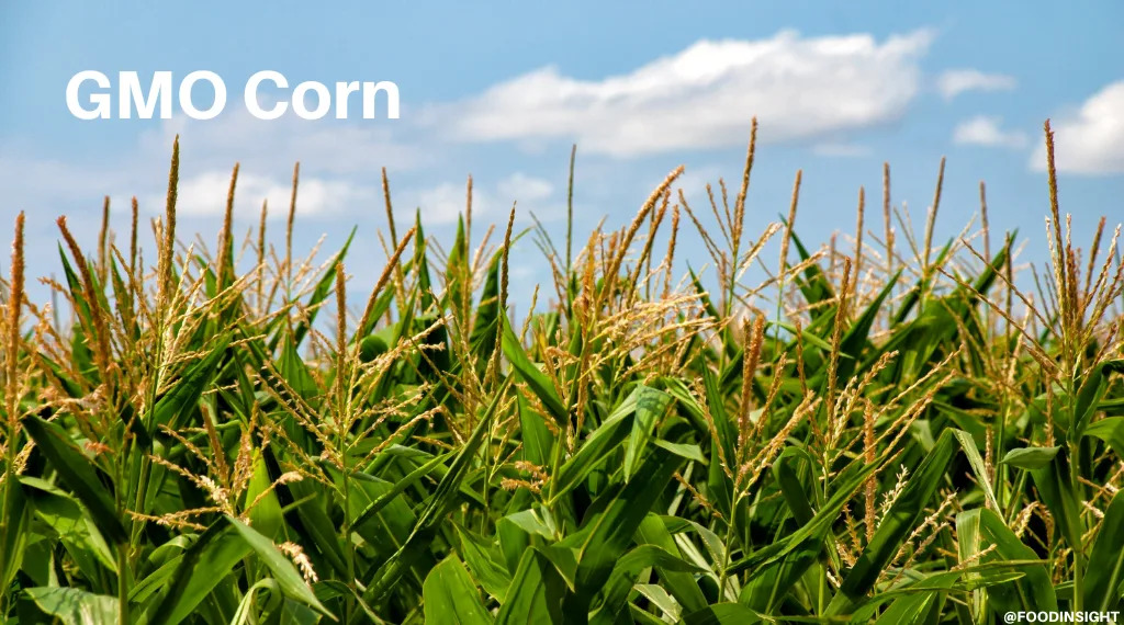 Regulate Genetically Modified Organisms in the US