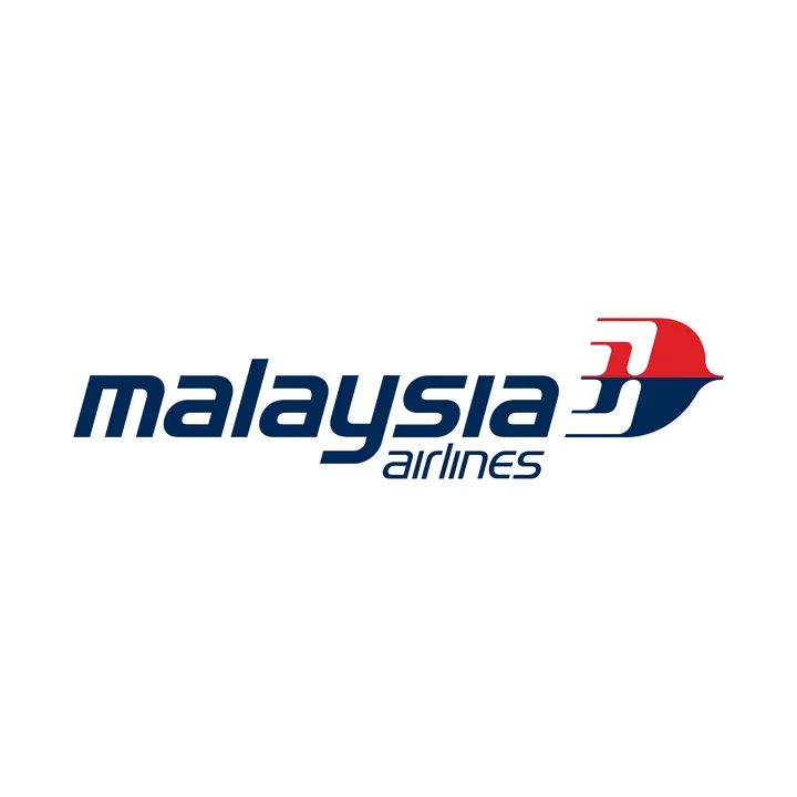 The Voices lets be heard -MH370 & MH17