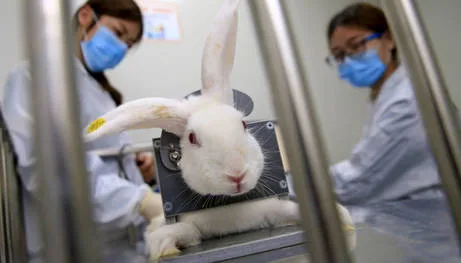 Save lives- stop animal testing