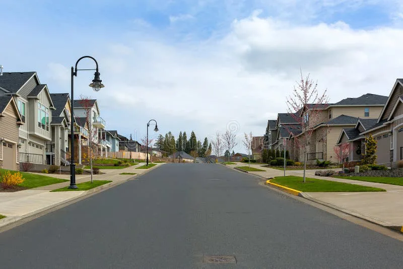 Leesville Neighborhood Rezoning Opposition