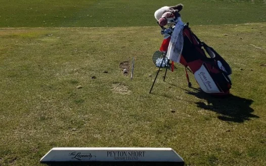 Save the 2020 IHSAA Boys Golf Season