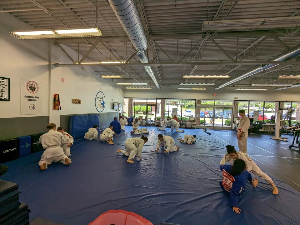 Save Wickford Judo Club