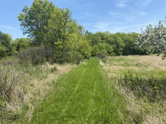 Save the Goose Lake Trail in Scandia