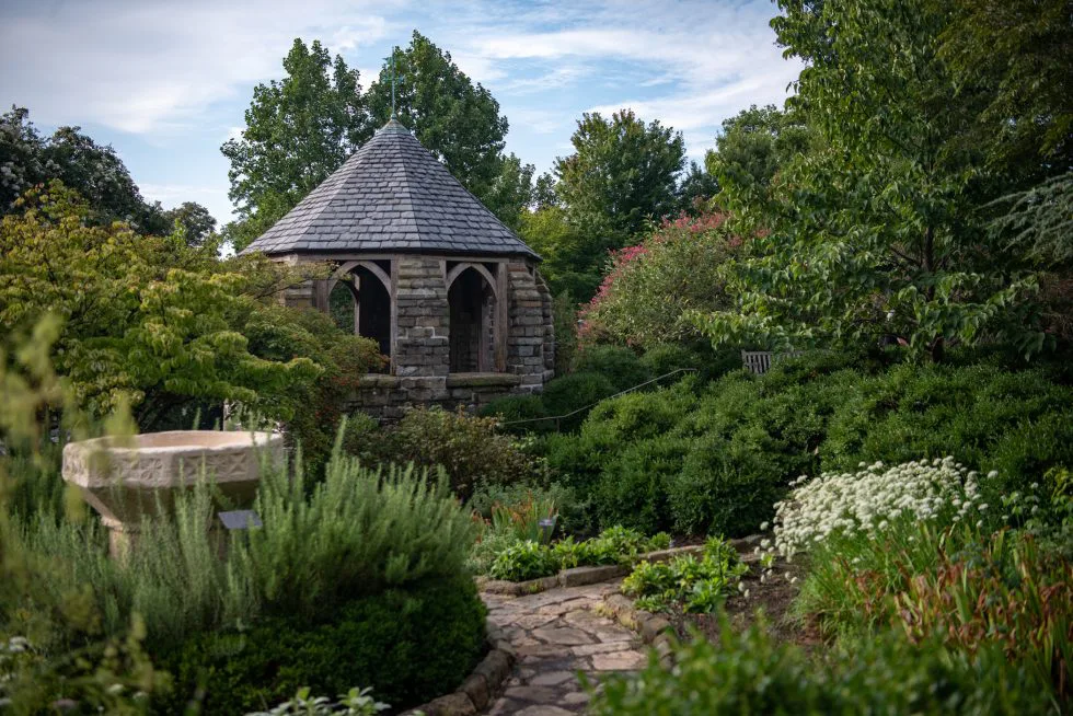 Save the Cathedral Greenhouse