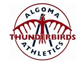 Algoma University BSW Program Needs 2 More Professors to Meet Accreditation Criteria
