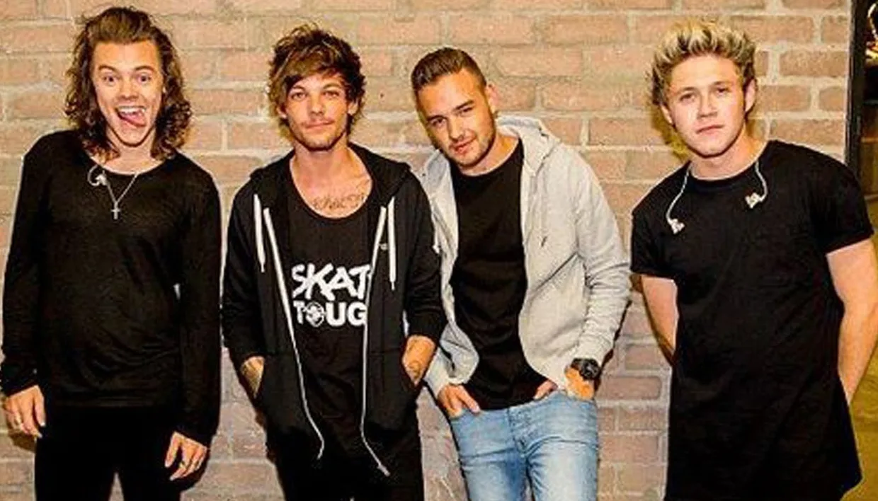 We Want 1D day again