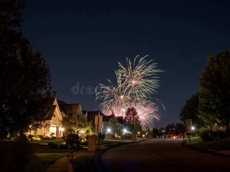 Petition for a Fireworks Ordinance East Washington