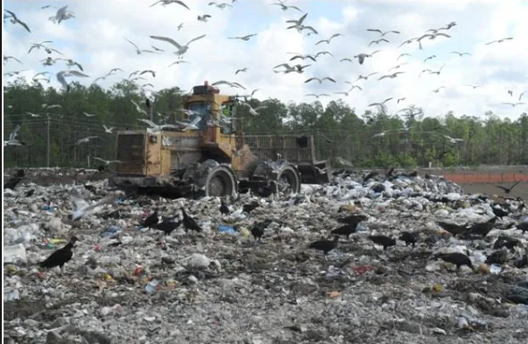 Stop using Styrofoam!