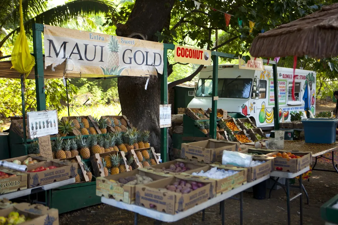 Save West Maui Fresh Market Shark Pit