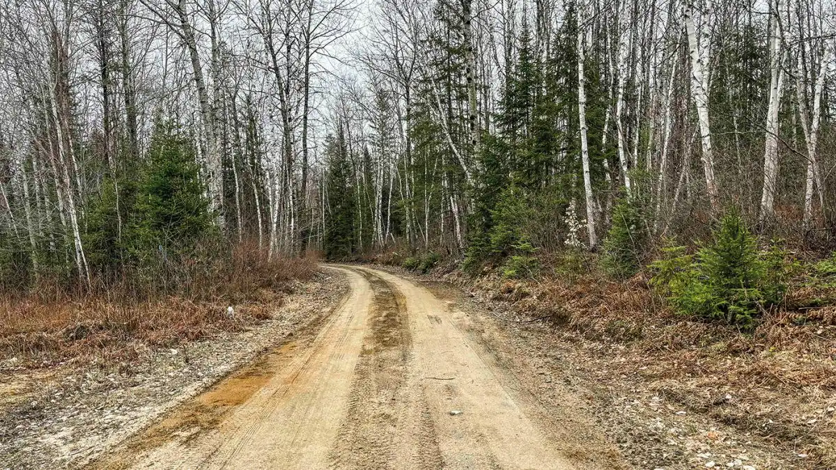 Sauvons les Chemins Forestiers du Qu