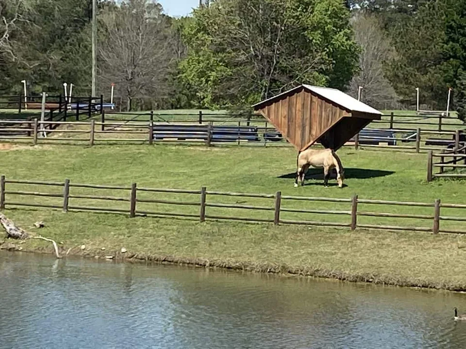 Union County NC Equine/Ag Facility