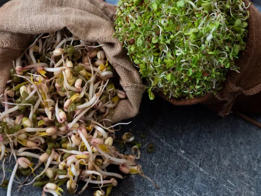 Make July 23rd National Sprout Day!