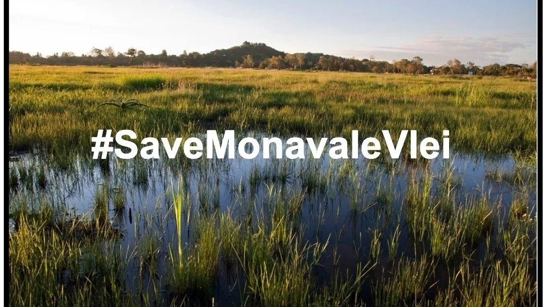 CCJP CALL TO SAVE MONAVALE VLEI!!!!!