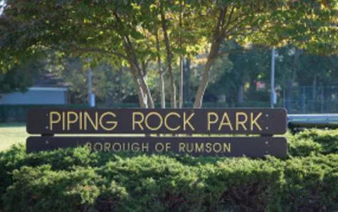 TO STOP THE PROPOSED SYNTHETIC TURF FIELD INSTALLATION AT PIPING ROCK MEMORIAL PARK