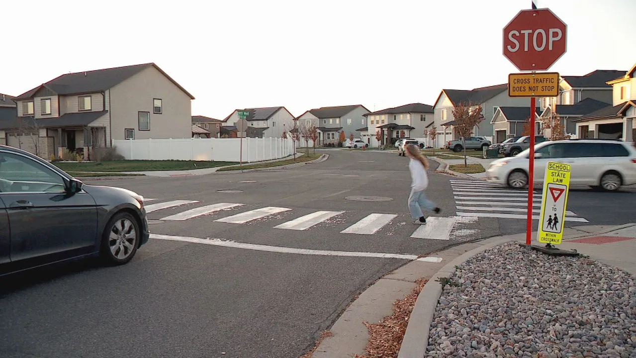Cross Walk on Hillsborough avenue between Meridian Pointe Apartments and the Winn-Dixie Plaza.