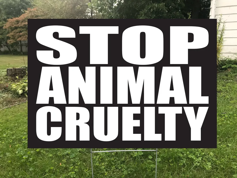 Stop Chinese Animal Massacre