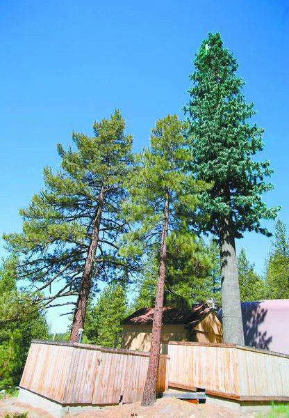Support Verizon Proposed Cell Tower