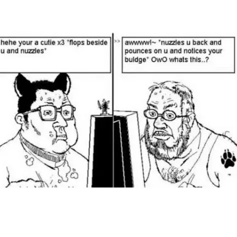 Ban erp in the meme site IRC