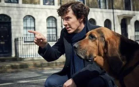 SHERLOCK SEASON 5