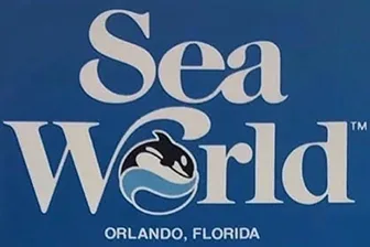 38 Special, please watch Blackfish, and cancel your gig at Seaworld.