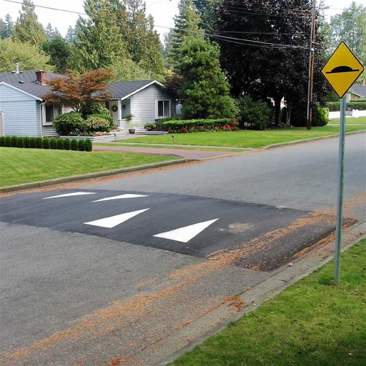 NO SPEED HUMPS IN ROCKY POINT