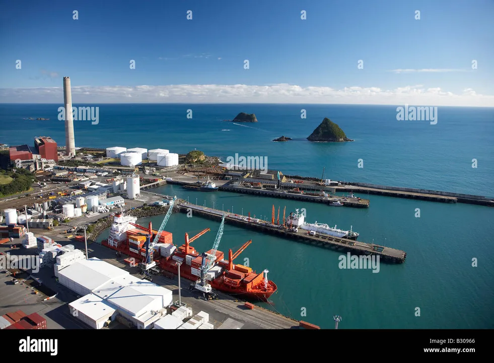 BurningBridges: Stop GasBridge in New Plymouth, NZ