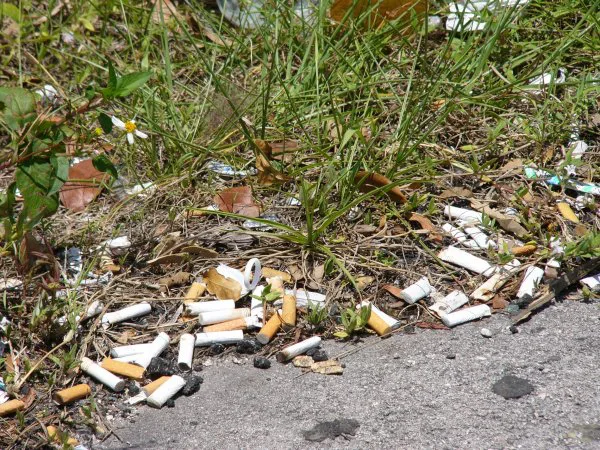 A stop to cigarette litter