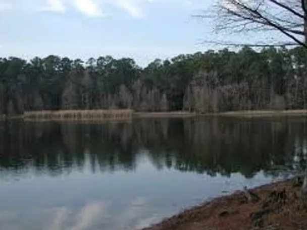 Help save Camp Strake, the last remaining natural oasis in the region.