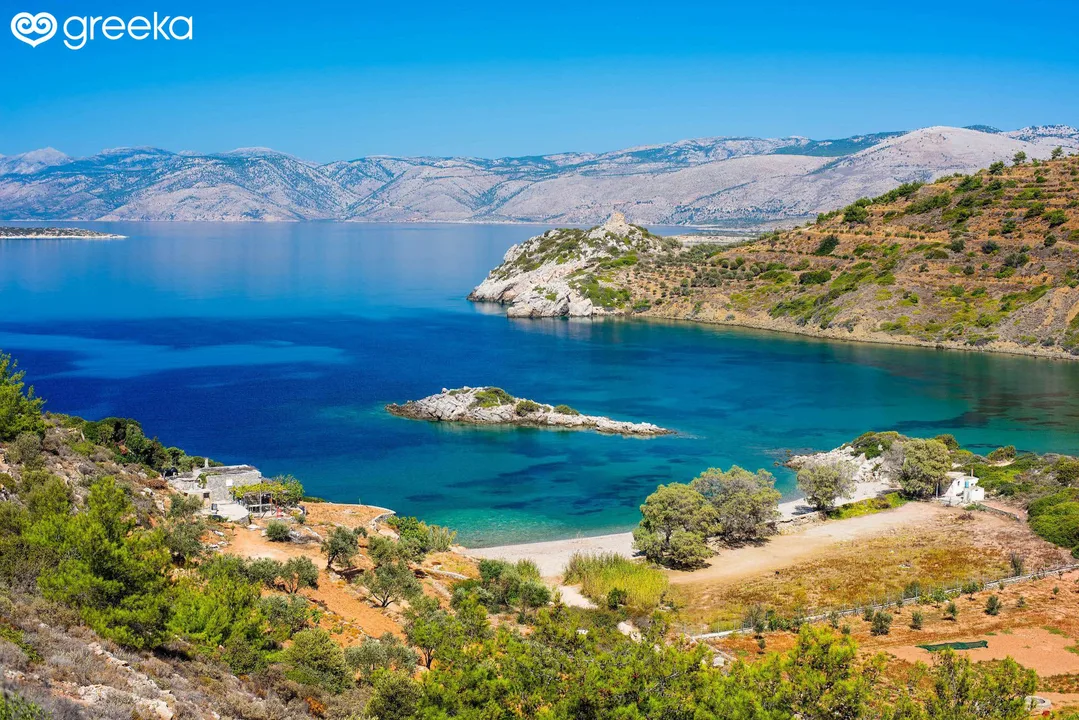 CHIOS NATURE calls for immediate action after the fires