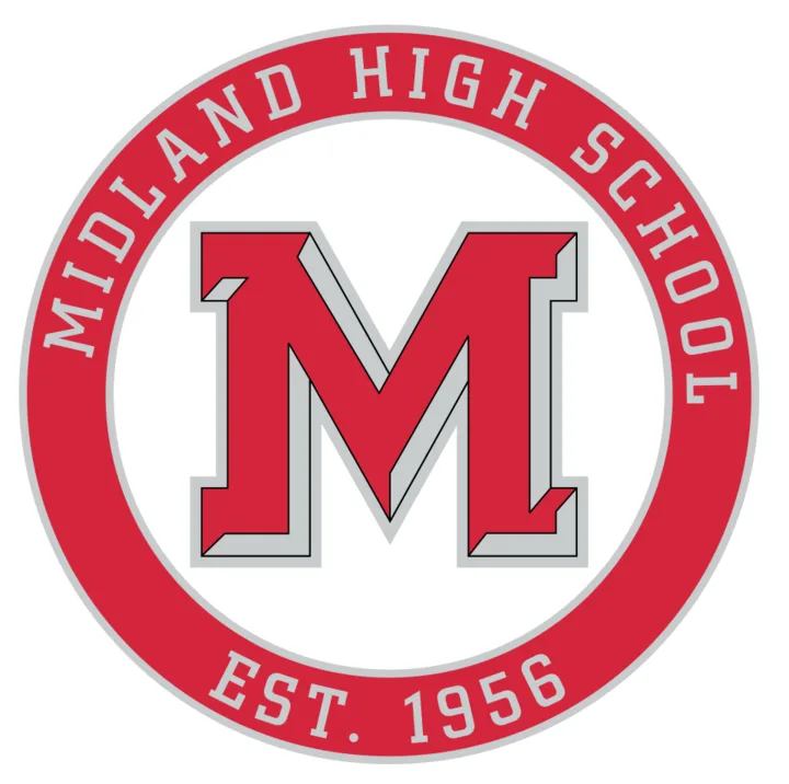 Student Lunchtime Library Access MHS