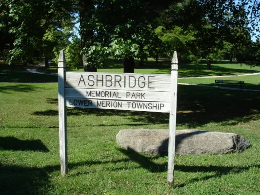 SaveAshbridge