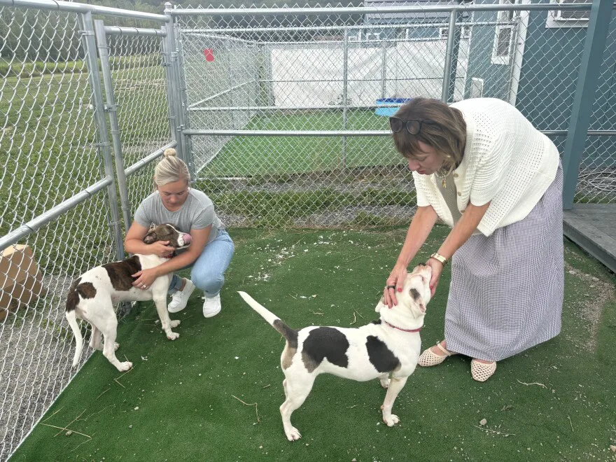 Petition For A Change To Responsible Pet Bylaws of Oshawa & Whitby