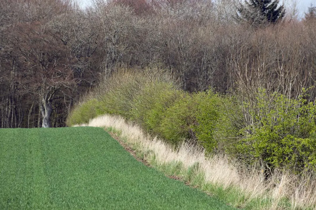 Stop massive development plans for Barwell West 'Sustainable Urban Expansion' (SUE)