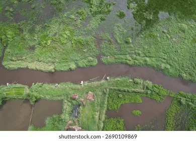 Save Holly Hill Farm From Drowning